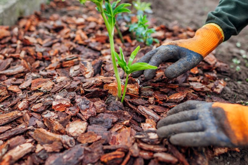 Mulch being spread in a garden